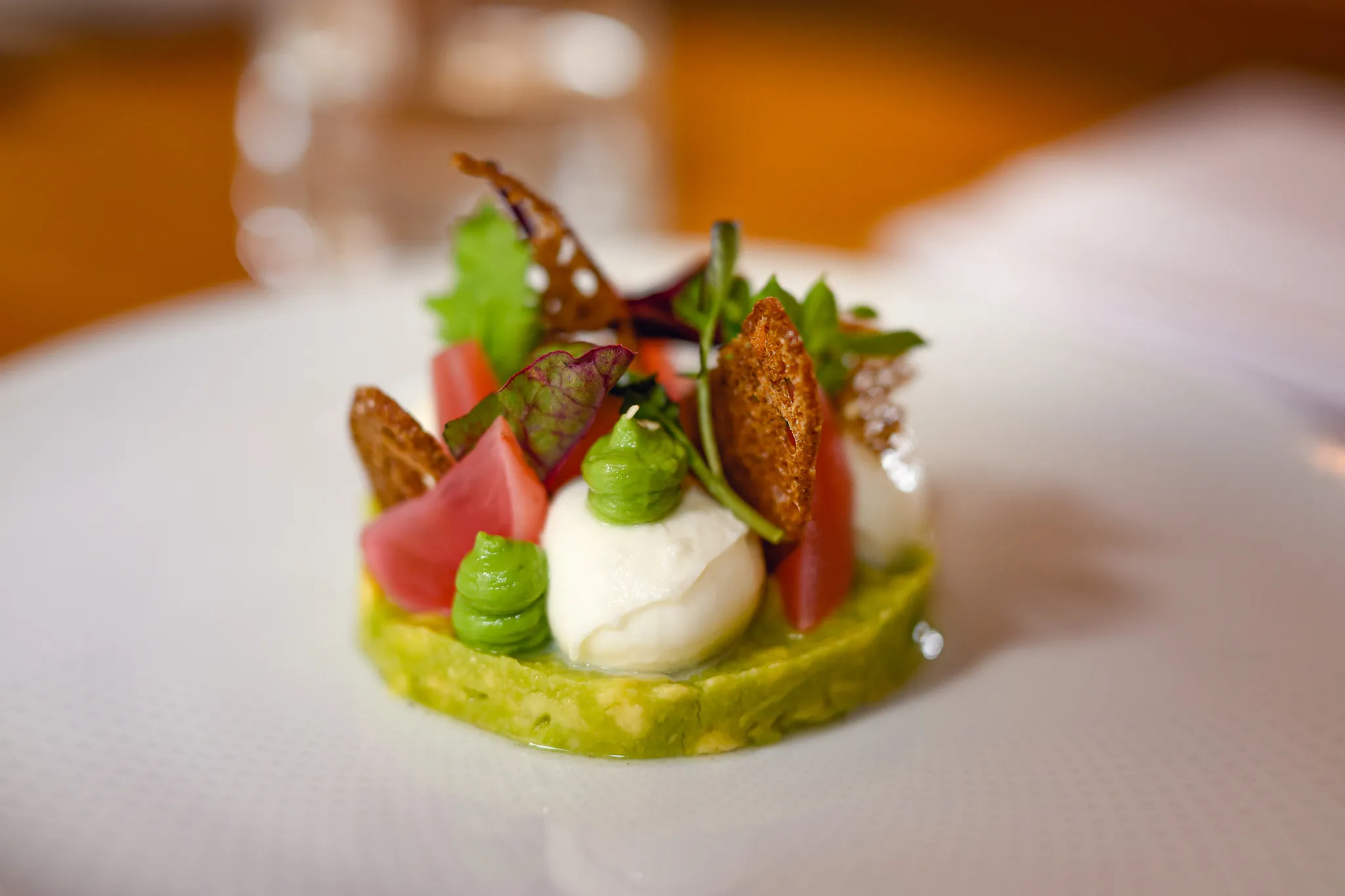 Fine-Dining-Vorspeise mit Mozzarella auf grüner Creme, Tomaten und Brotchips