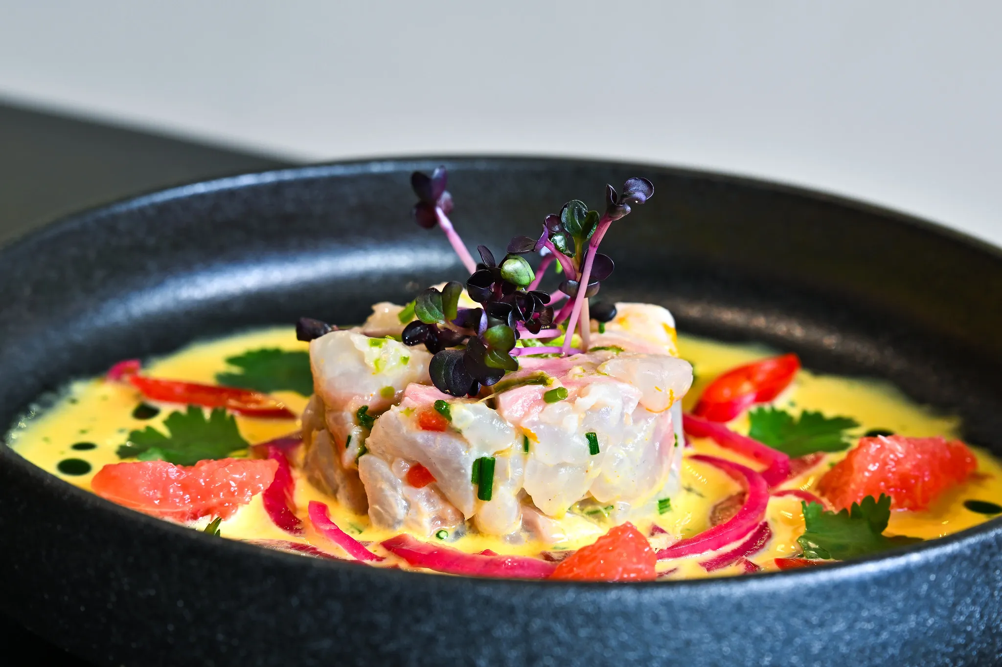 Fisch-Ceviche mit Leche de Tigre und Microgreens, Food-Fotografie Nürnberg.
