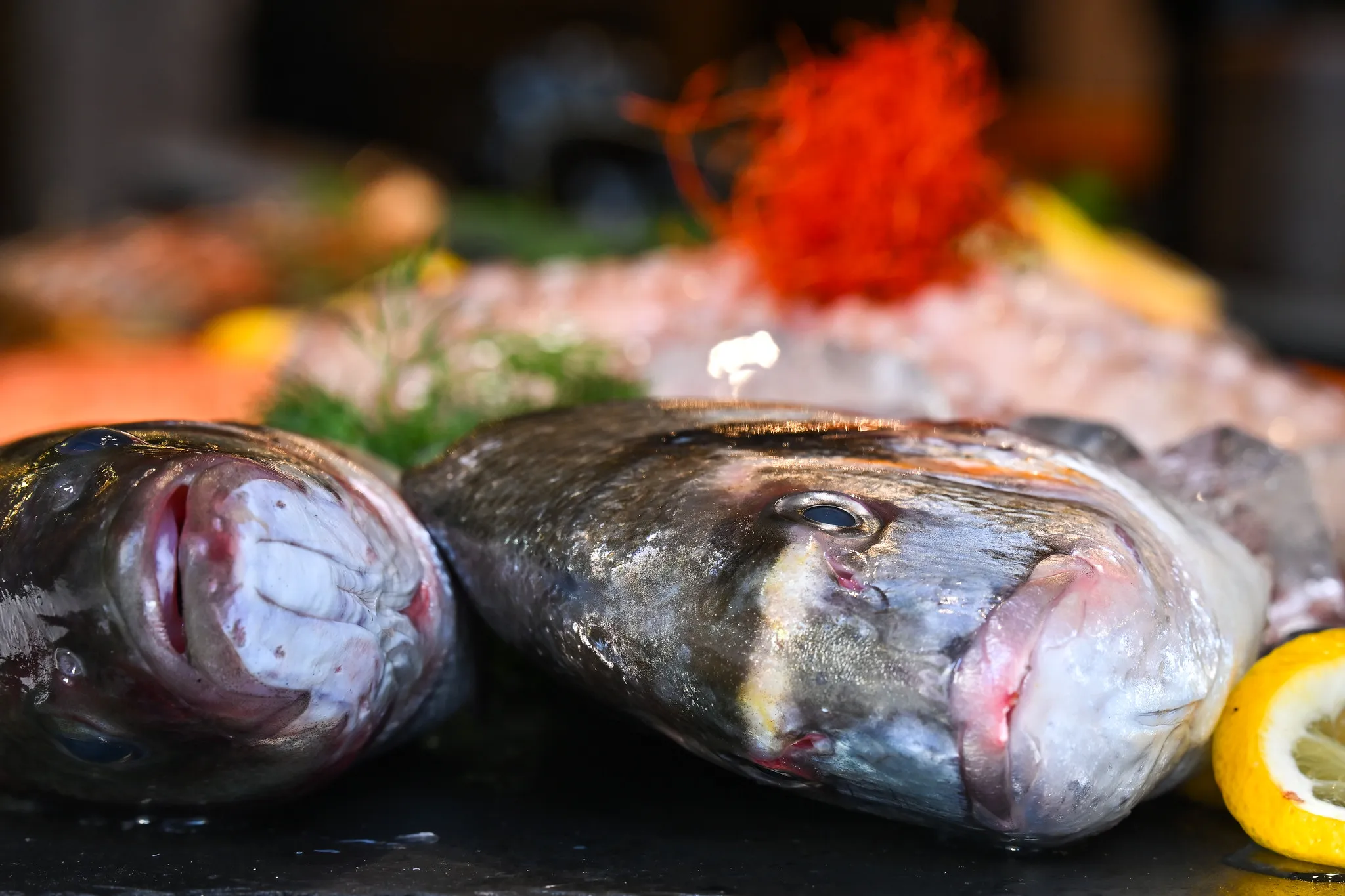 Frische Fischköpfe auf der Meeresfrüchtetheke, authentische Gastronomie-Reportage.