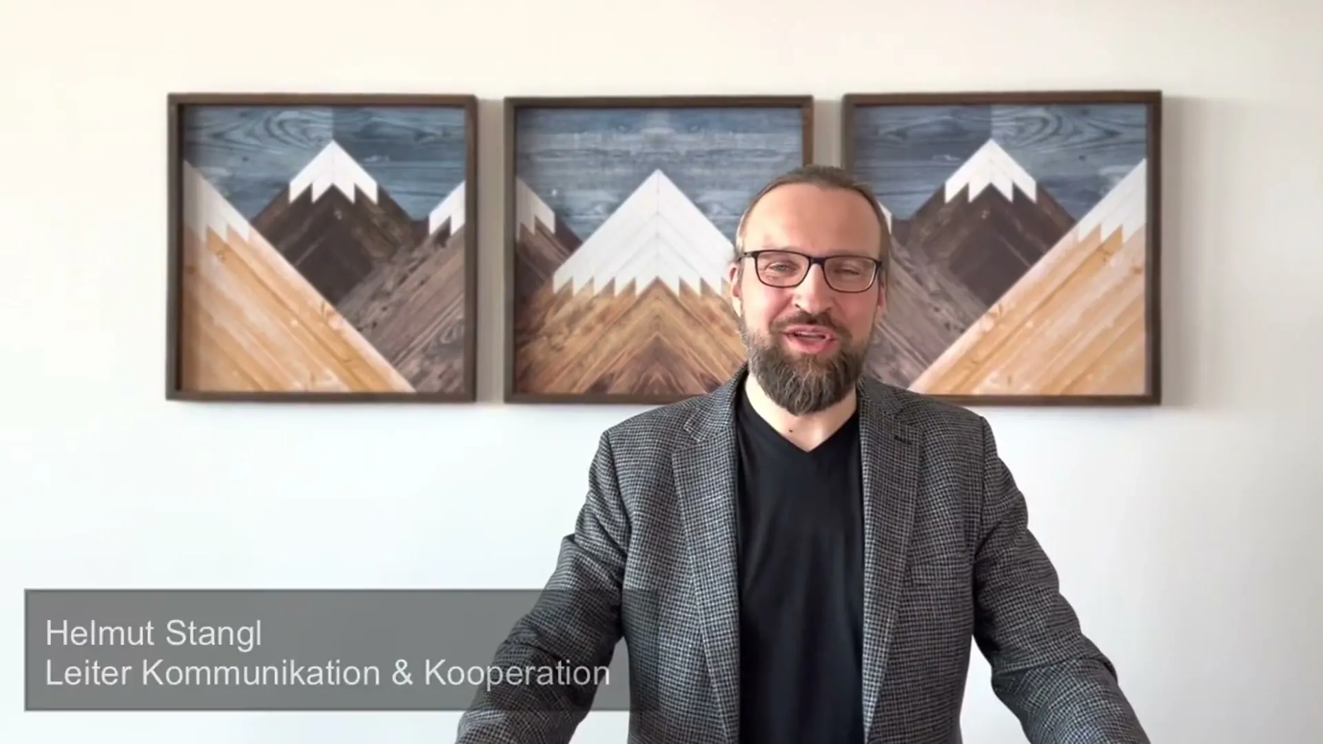 Helmut Stangl, Add-on Gruppe Portrait-Video
