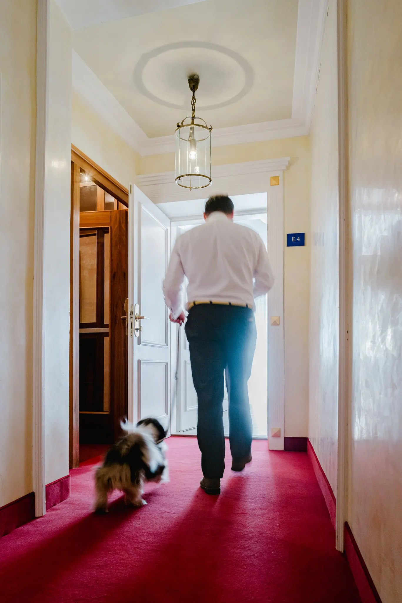 Hotelkorridor mit Gast und Hund auf rotem Läufer, tierfreundliches Hotel fotografisch festgehalten