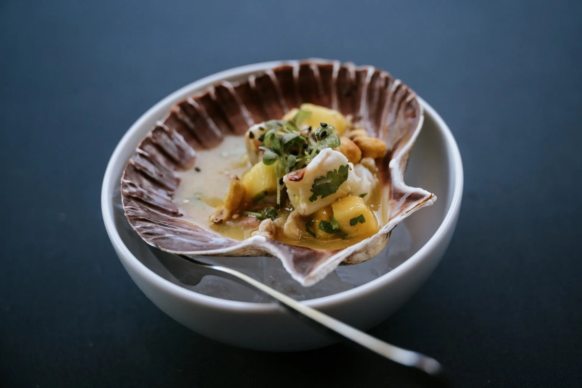 Fein angerichtete Jakobsmuschel auf Eis, stilvolle Foodfotografie mit Fokus auf Frische.