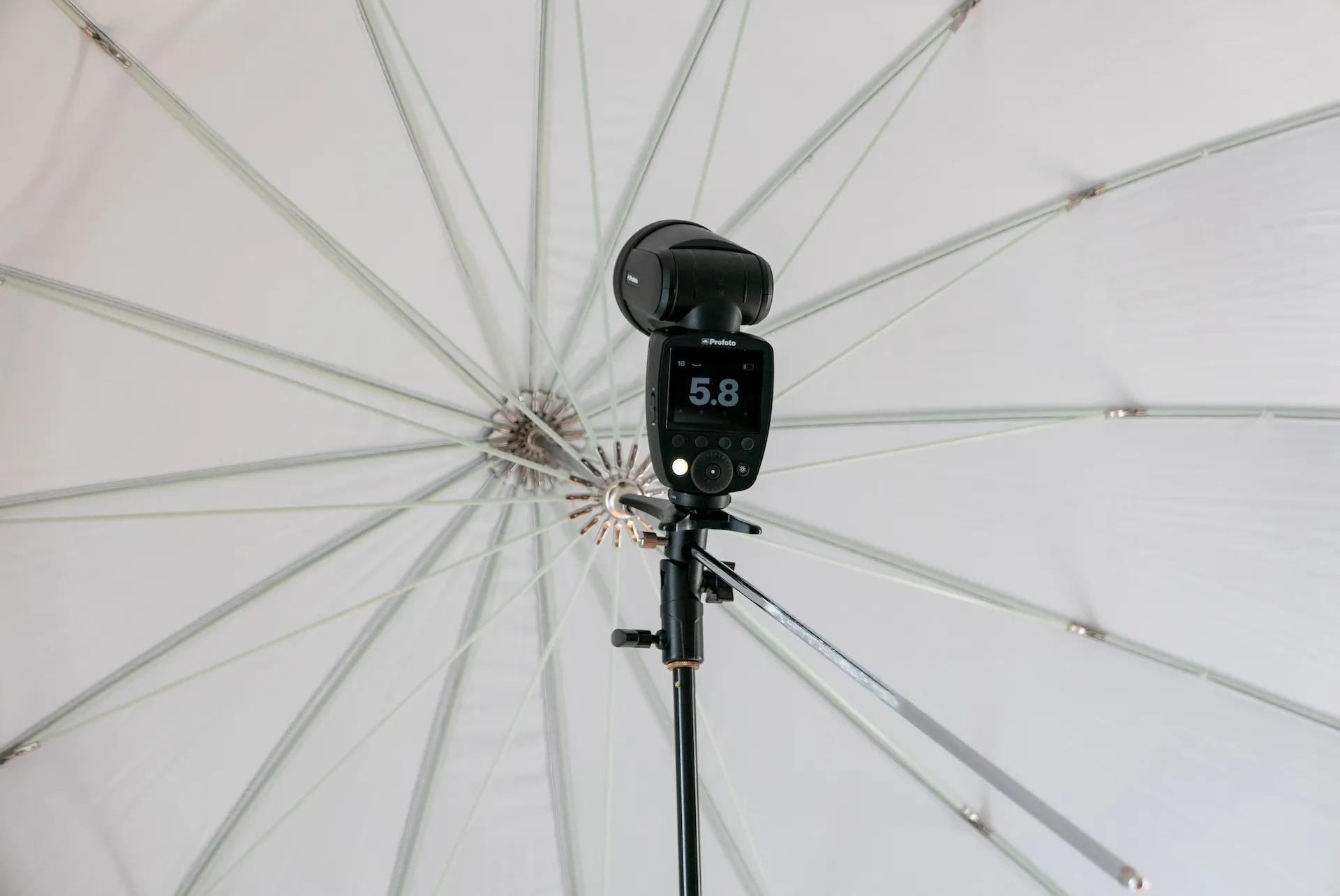Professionelle Blitzausrüstung für das mobile Fotostudio in Bayern