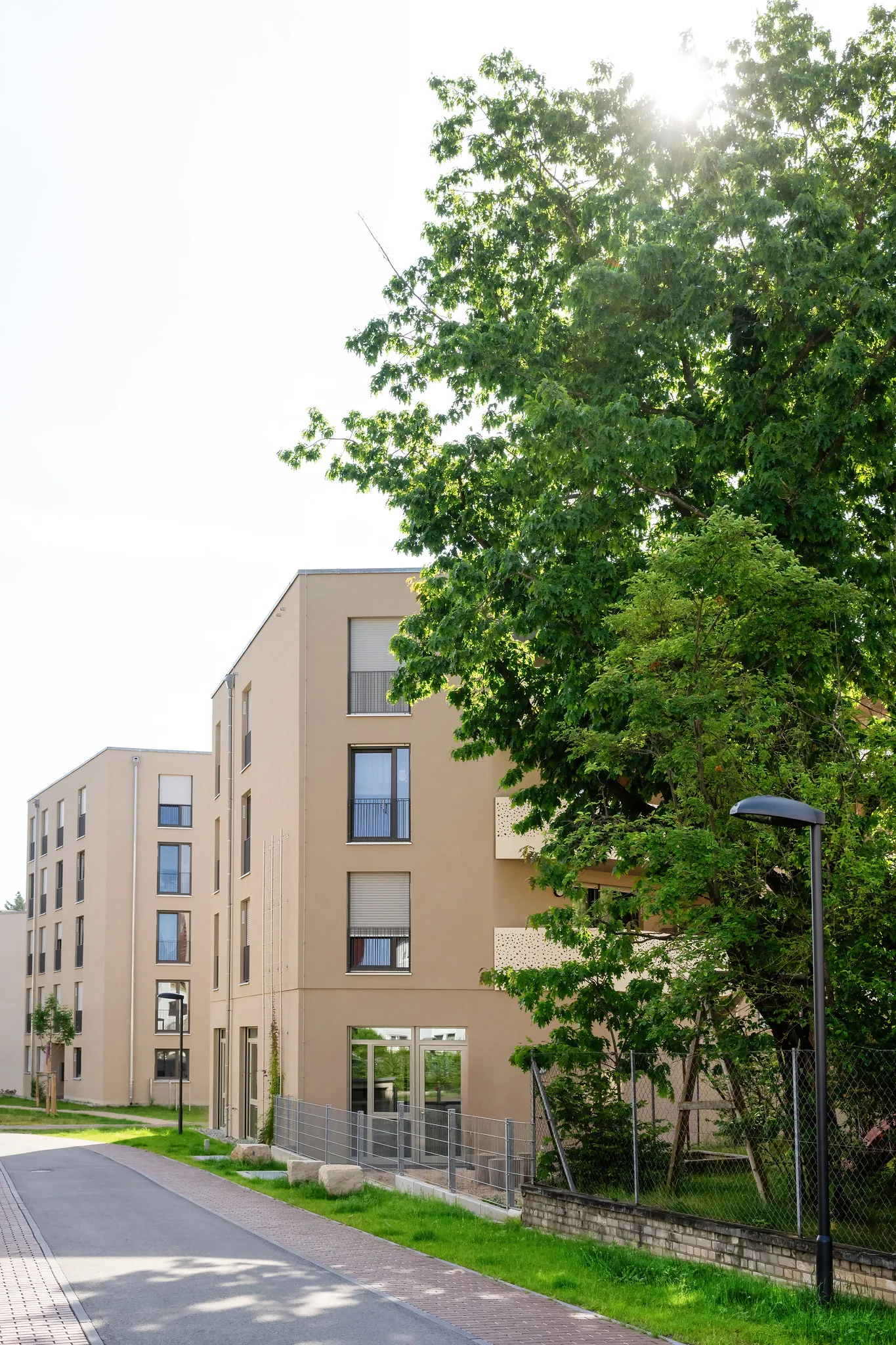 Wohngebäude in Straßenansicht mit Baum im Gegenlicht.