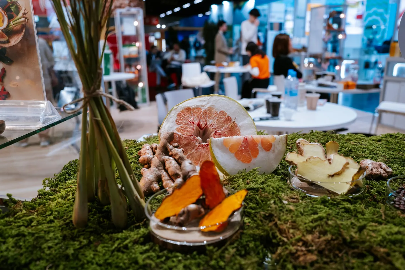 Food arrangement on moss at a booth, detail shot